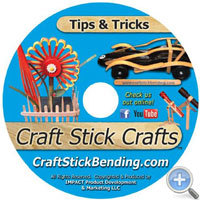 Craft Stick Crafts DVD